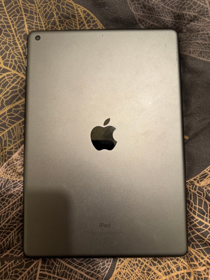 iPad