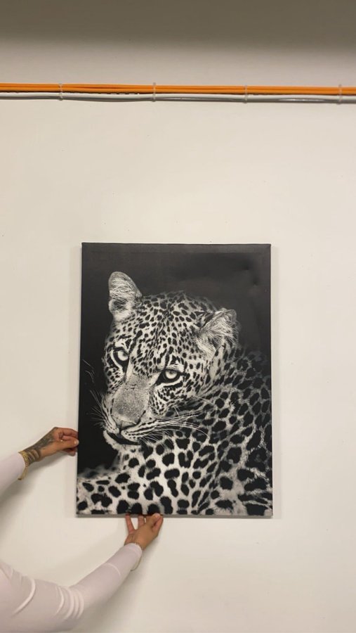 Leopard Canvas