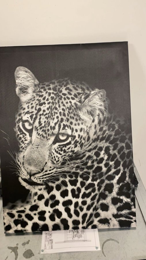 Leopard Canvas