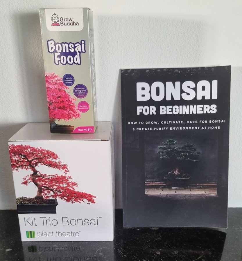 Kit Trio Bonsai - Bonsai för nybörjare