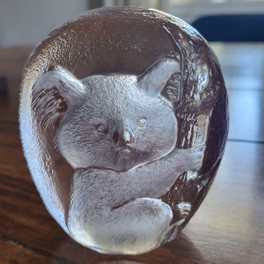 KOALA - Mats Jonasson, WWF-Svenskt Glas