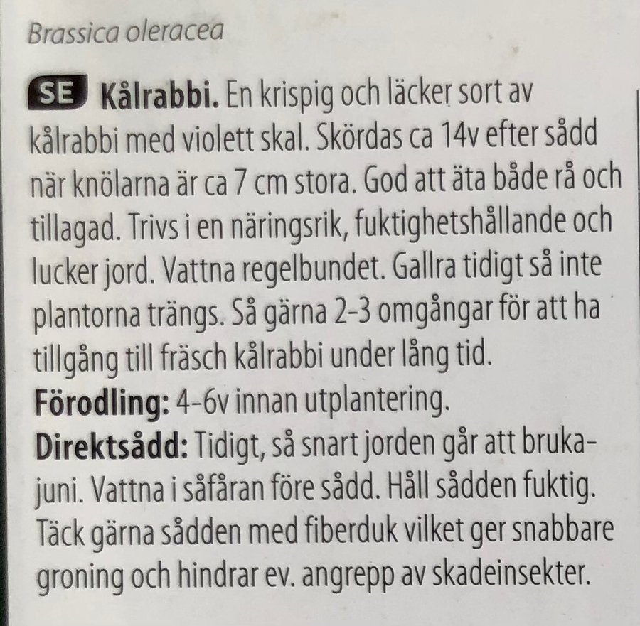 Lila Kålrabbi ”Blaro” - 10 st fröer