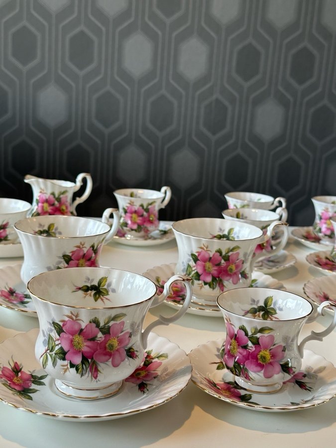 Royal Albert - Pritti Rose