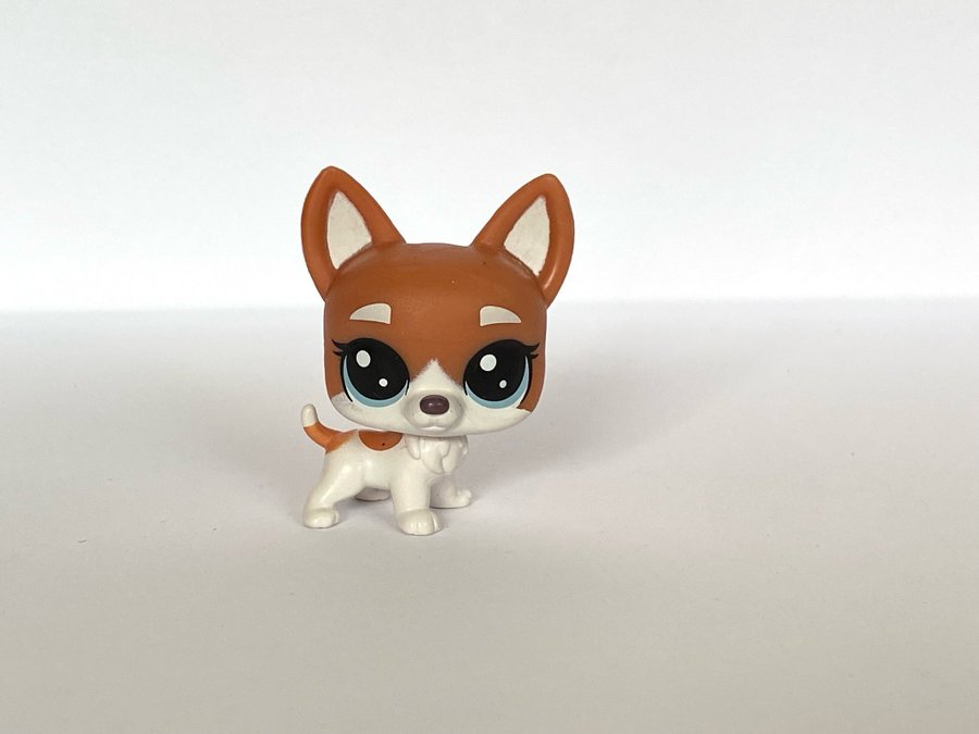 Hund, Corgi - Littlest Pet Shop, Petshop, Pet shops, Petshops, Lps