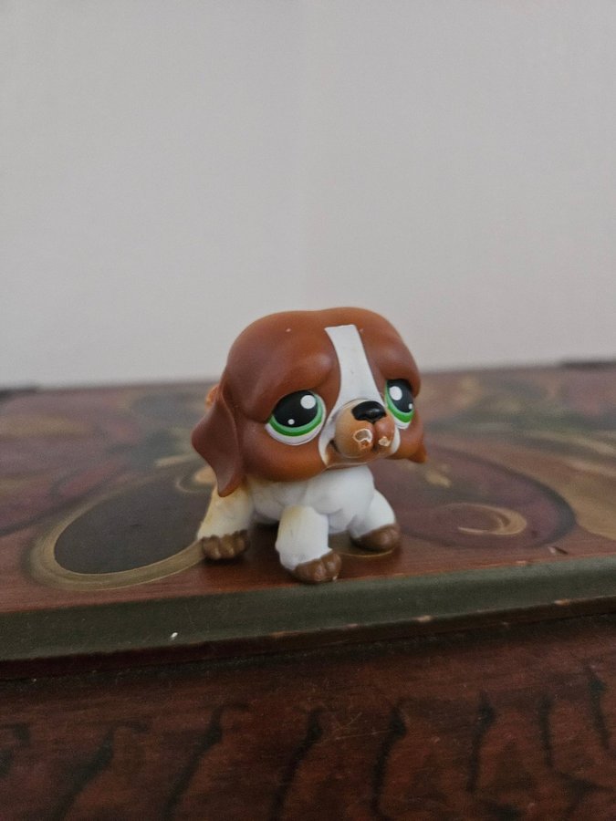 Littlest petshop - sankt bernad