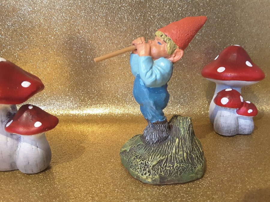 Gnomes, tomtar, Rien Poortvliet