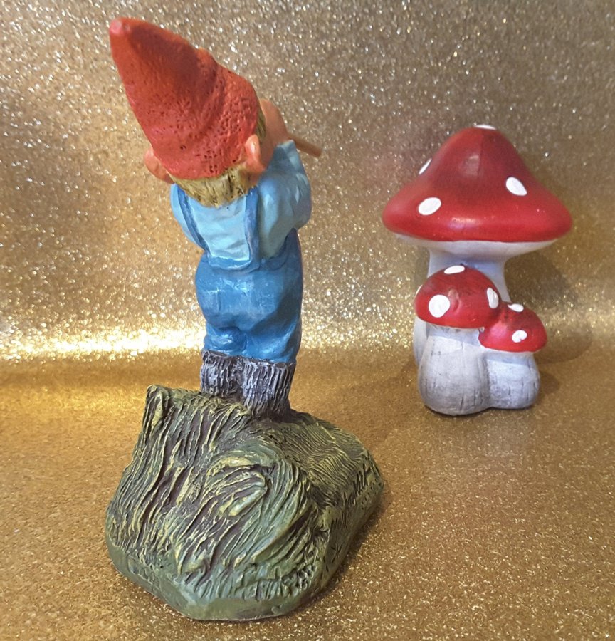 Gnomes, tomtar, Rien Poortvliet