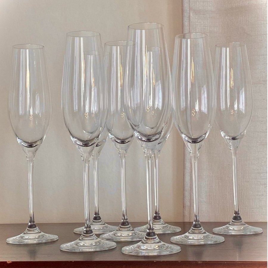 Scandi Living Karlevi champagneglas / Glas 8-pack , vacker design