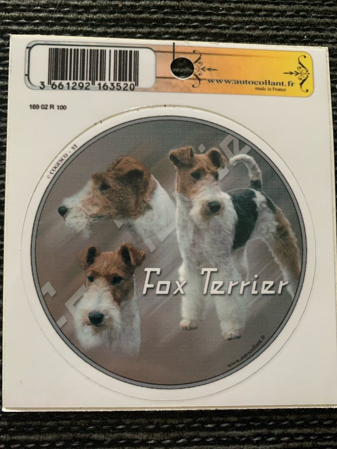 Rund klisterdekal - Foxterrier