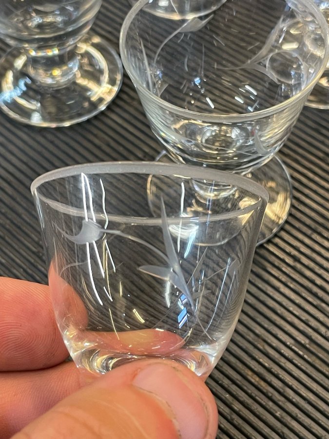 Glas snapsglas spritglas 8 st