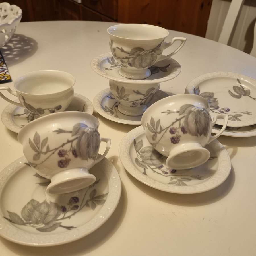 Rosenthal Maria Koppar 8sr koppar med fat och assieter 24 delar ter