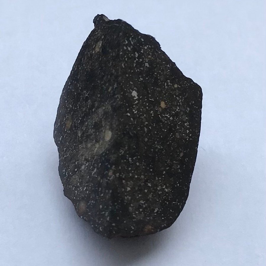 Stenmeteorit - Northwest Africa 16297 - Kondrit H3 - 12g