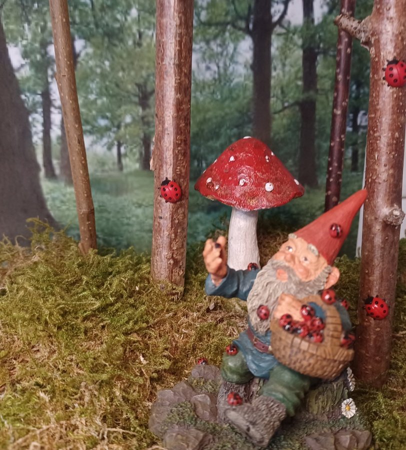 Gnomes, Tomtar, Rien Poortvliet