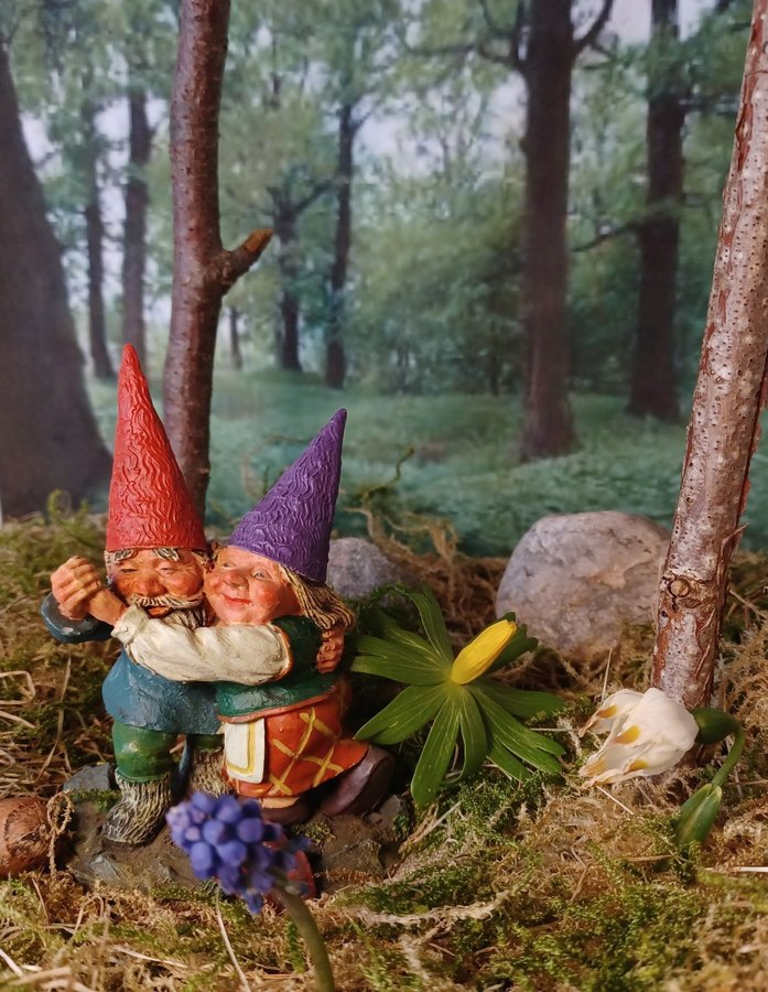 Gnomes, Tomtar, Rien Poortvliet