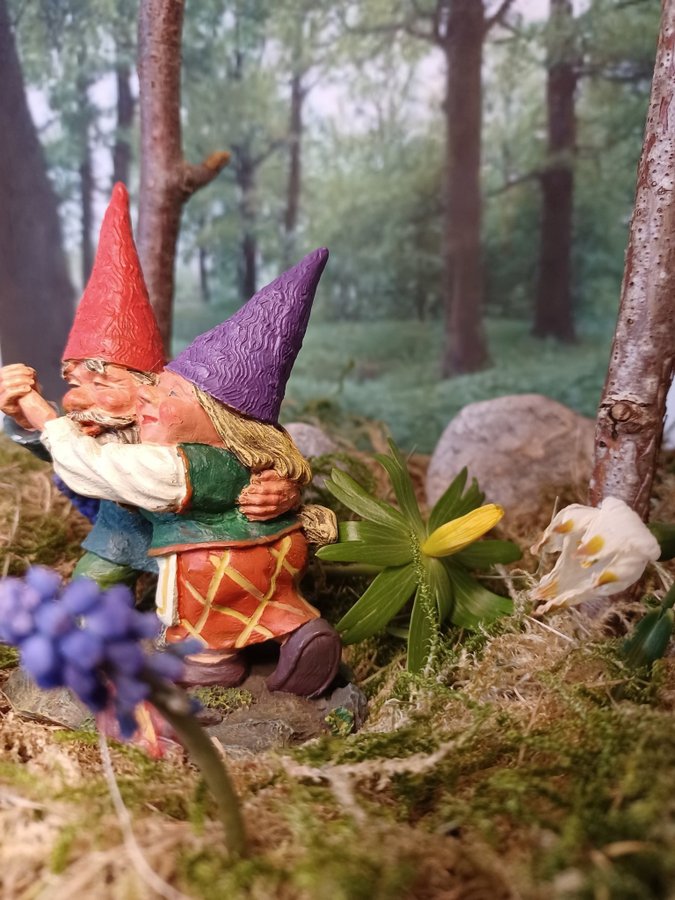 Gnomes, Tomtar, Rien Poortvliet