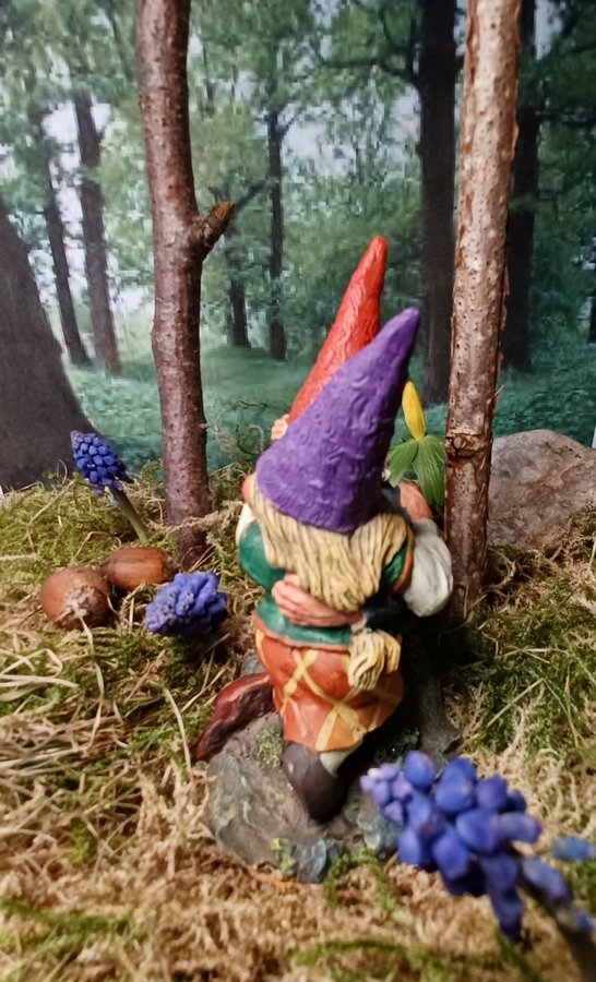 Gnomes, Tomtar, Rien Poortvliet