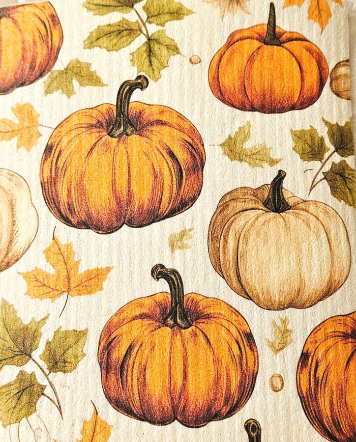 Disktrasa wettex duk med tryck print pumpor halloween höst