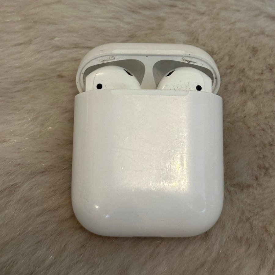 Urbanista  apple earpods