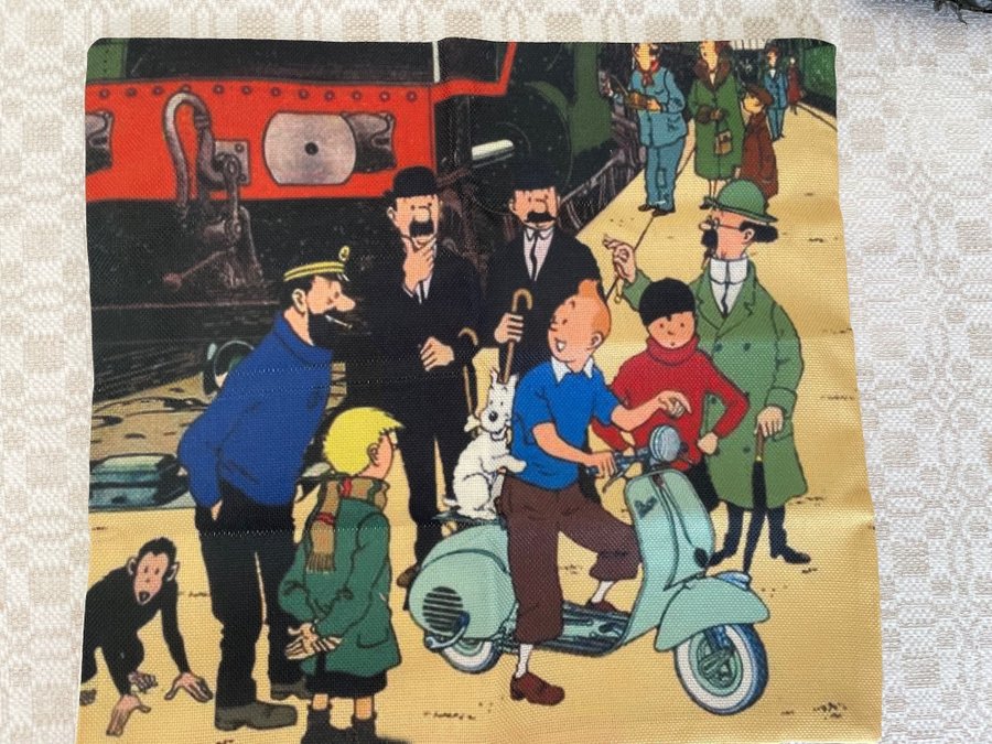 Tintin - Prydnadskuddefodral med klassiskt motiv