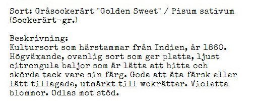 Fröer Sockerärt Golden Sweet UTFÖRSÄLJNING AV 2023 ÅRS FRÖER