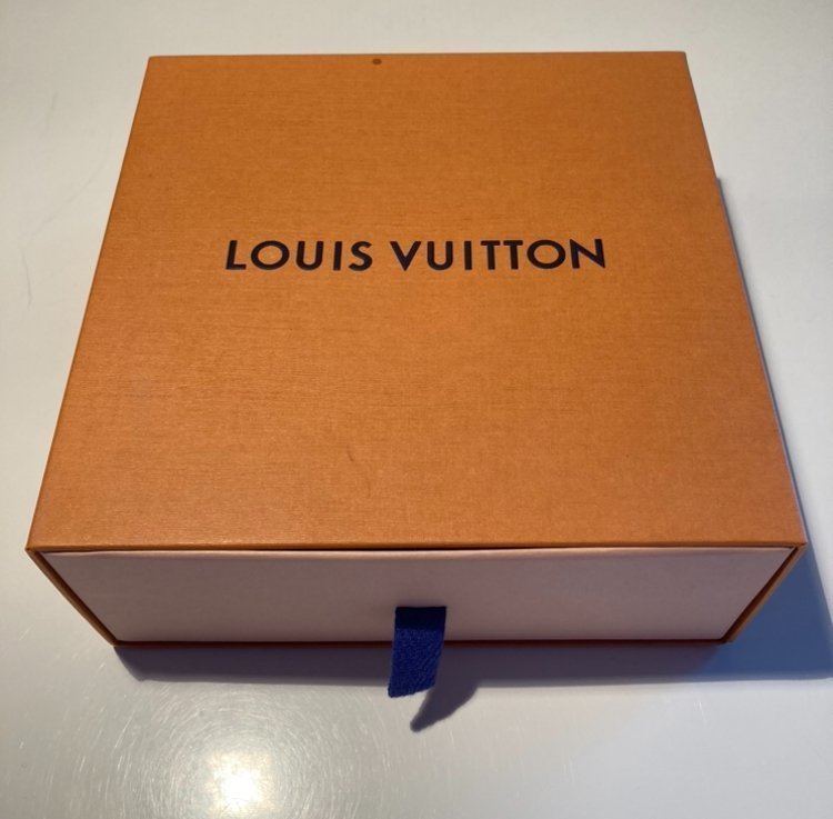 Louis Vuitton leash hundlina mint condition