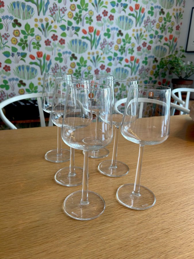 Iittala Vin Glas