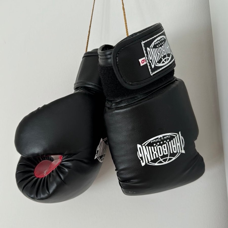 Thai Boxing Boxhandskar storlek 9