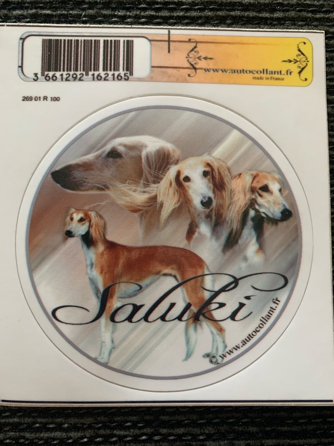 Rund klisterdekal - Saluki