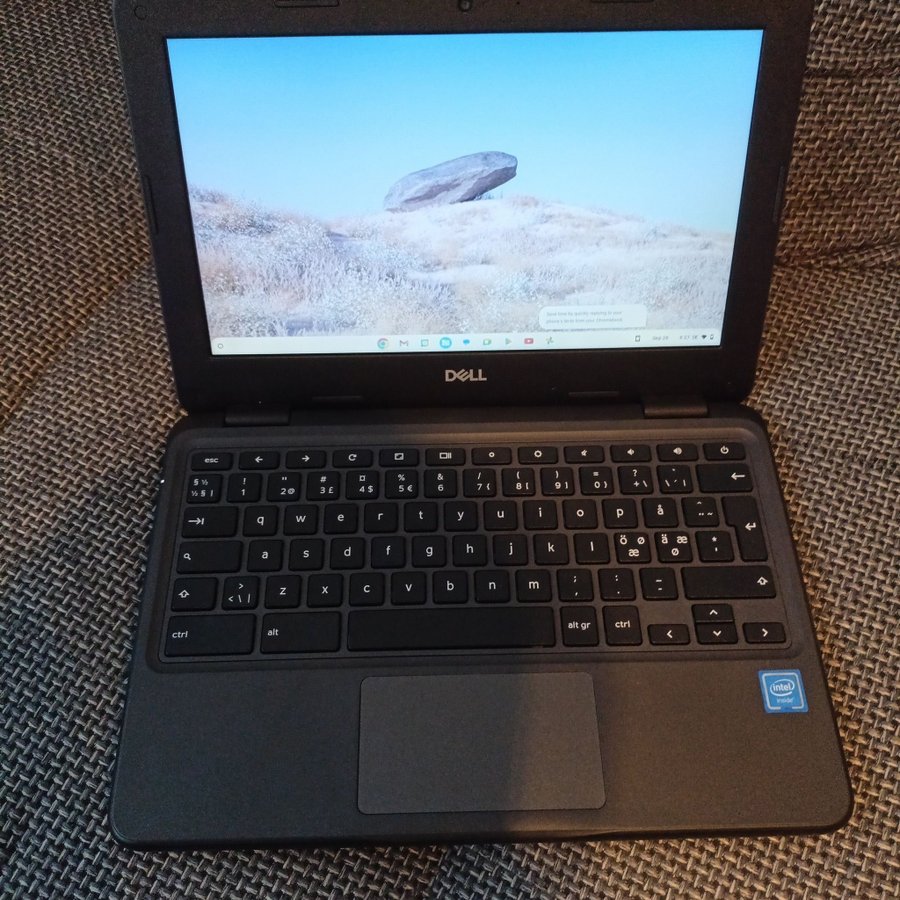 DELL Chromebook 3100