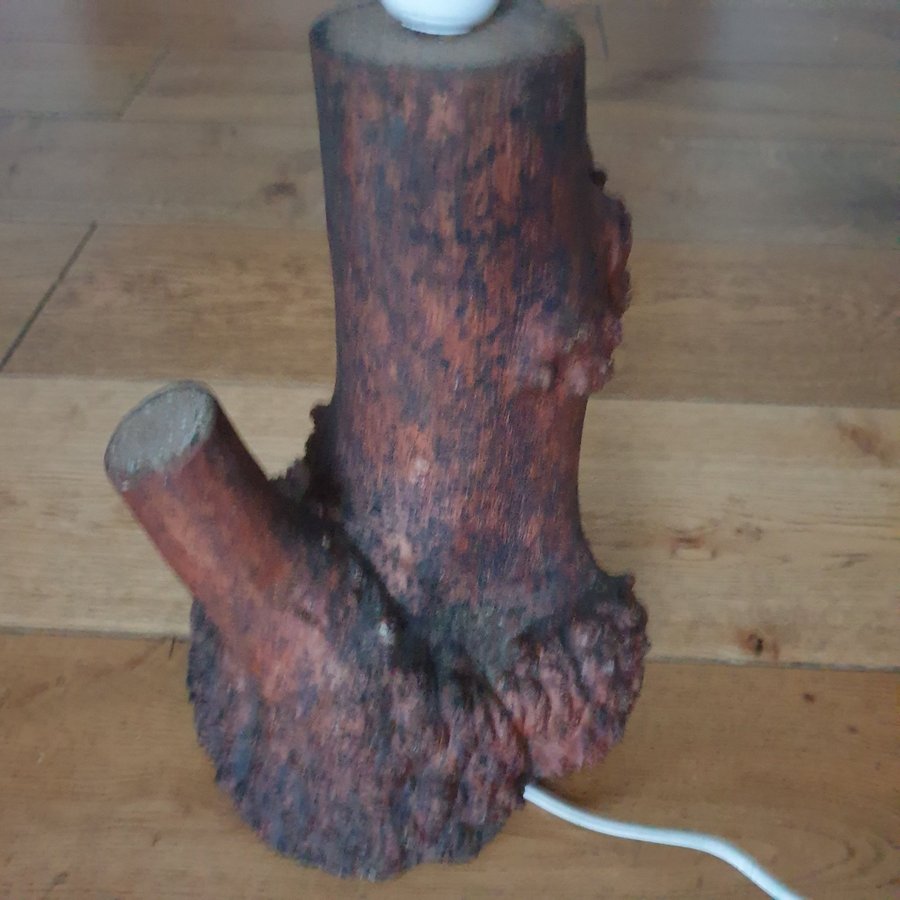 Lampa tillverkad av en stubbe (äkta)