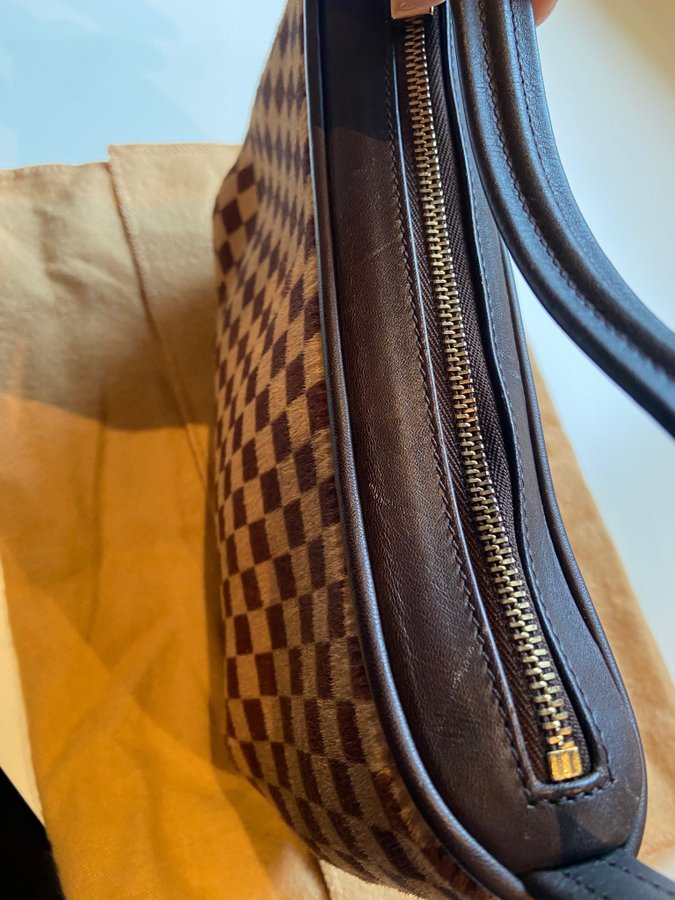 Louis Vuitton Sauvage tiger