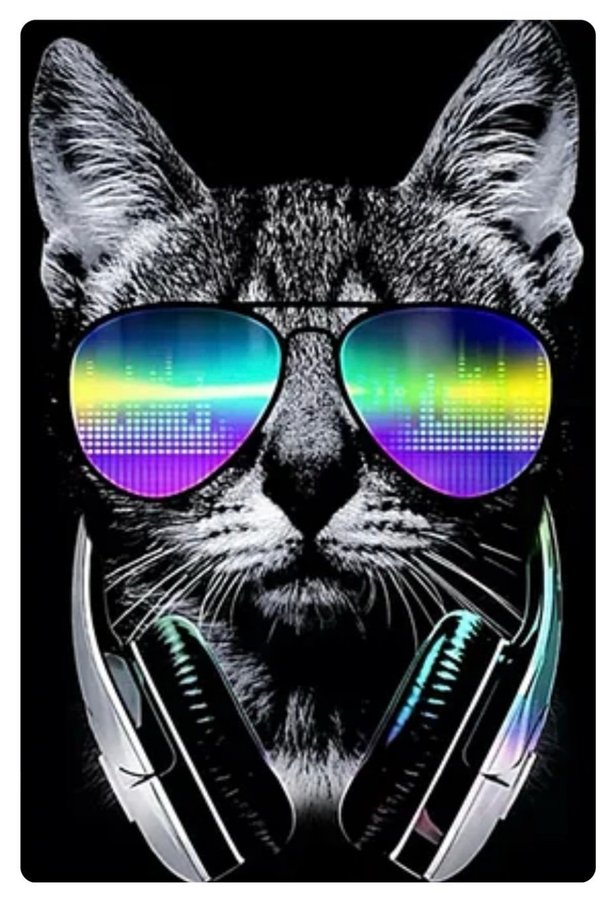 Cool Katt / DJ