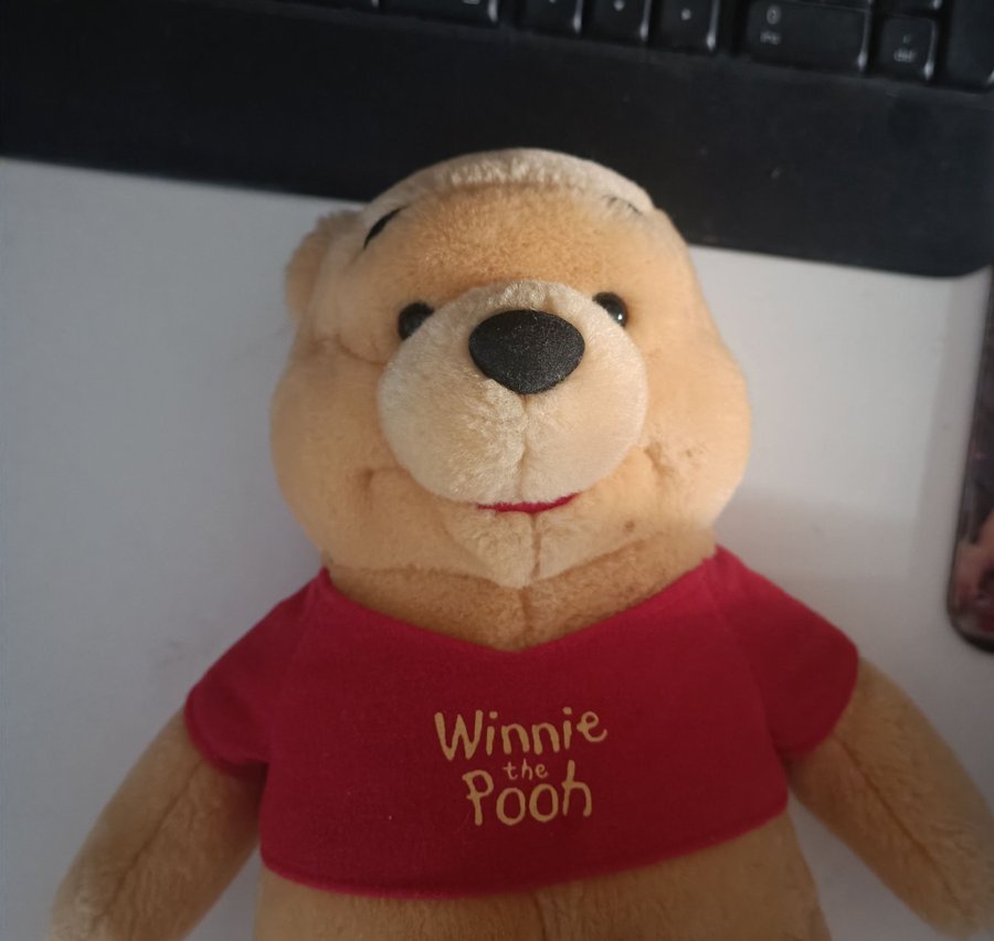 Winnie the Pooh Gosedjur