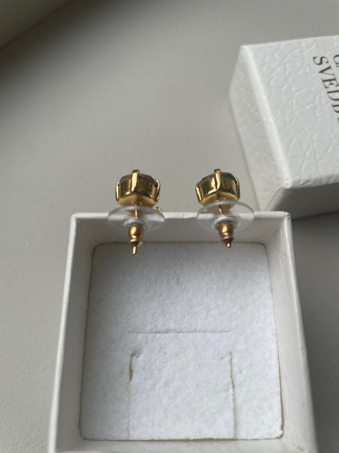 Caroline Svedbom Mini Drop Earrings golden shadow